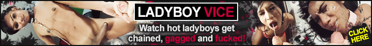 Ladyboy Vice