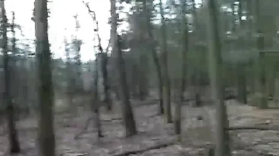 Having sex outdoors
