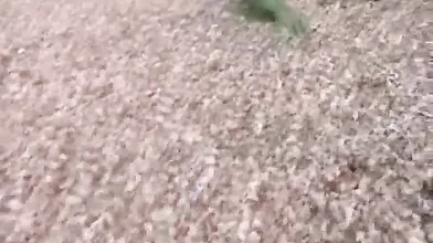 Having sex outdoors