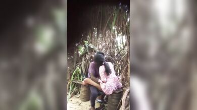 Desi Lovers In Park Sex