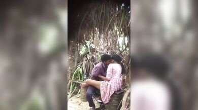 Desi Lovers In Park Sex