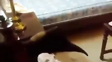 Indian Threesome 1
