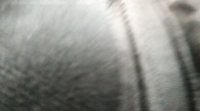 Public dick flash in city