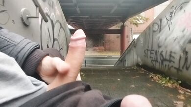 Public dick flash in city