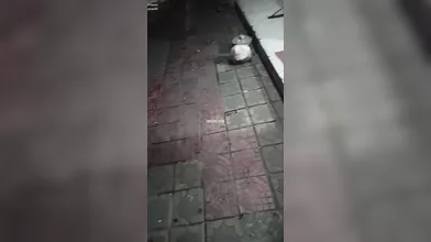 城中春 找快樂