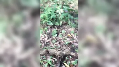 Morena Tomando Porra No Mato