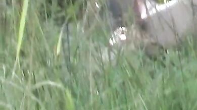 Amateur girls voyeur intercourse in public place