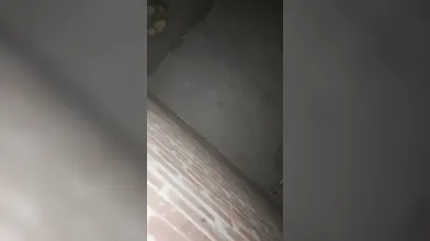 Mary (viral video)