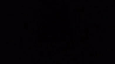 Bokep