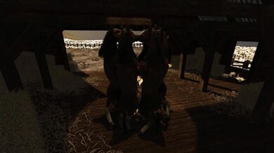 6 Cocks In Her Ass