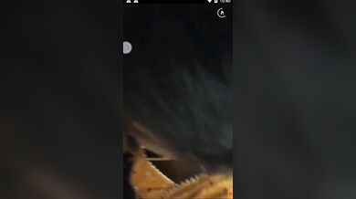 GF Bj To Lover Hot