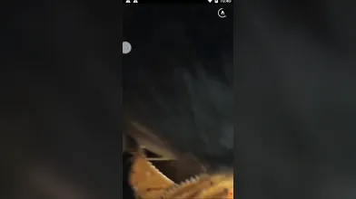 GF Bj To Lover Hot