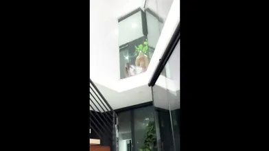 Slut Fucked Against The Window