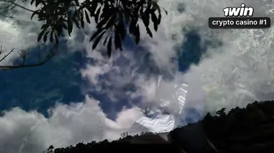 Excursão pela floresta termina com esperma no rosto em cena pornô super-apimenta