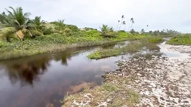 As Aventuras Dos Tarados 5 Amigos Fazem Trilha Pelados