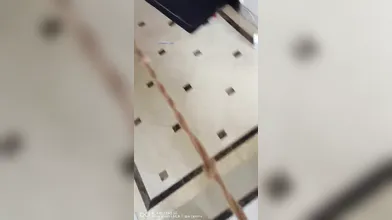 Chinese Beautiful College Student Were Violently Trained 2