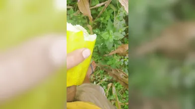 Fuck hard cucumber