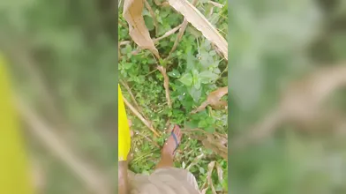 Fuck hard cucumber