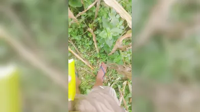 Fuck hard cucumber
