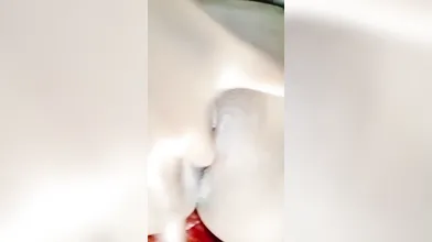 Colmex memek pengen di entot
