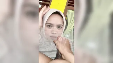 Genigustina minta di coli