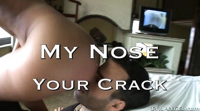 My Nose Your Crack